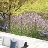 Outsunny 4-Panel Circle Design Metal Yard Fencing: Decorative Garden and Flower Bed Barrier|